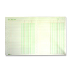 Hoja de balance Formitec mod. H-01